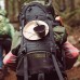 Кружка-миска Wildo Kasa Army Dark grey