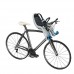 Детское велокресло Thule RideAlong Mini Zinnia