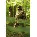 Костюм Keotica Тактика-2 рип-стоп multicam