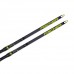 Лыжи Fischer Carbonlite Skate Plus Stiff IFP N11619